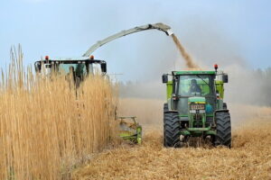 Mapa de radiación solar en Colombia 14 produccion de biomasa con energia solar mapa de radiacion solar colombia Mapa de radiación solar en Colombia